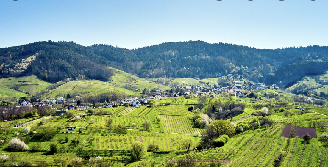 Unternehmensfoto (1)