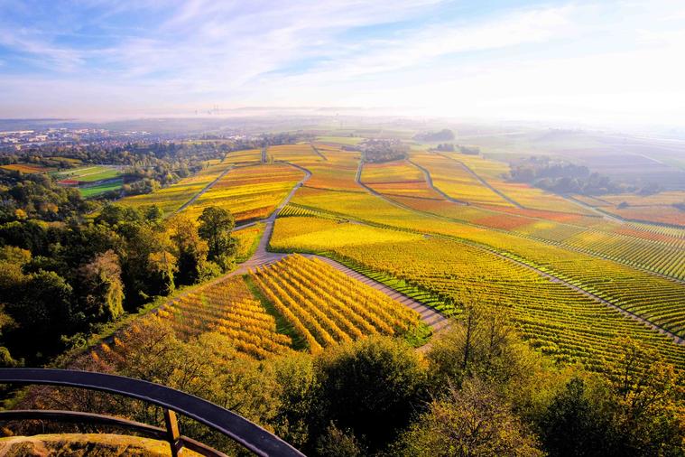 Blick von der Heuchelberger Warte im Herbst 