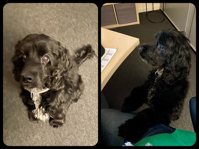 unser Feel Good Manager