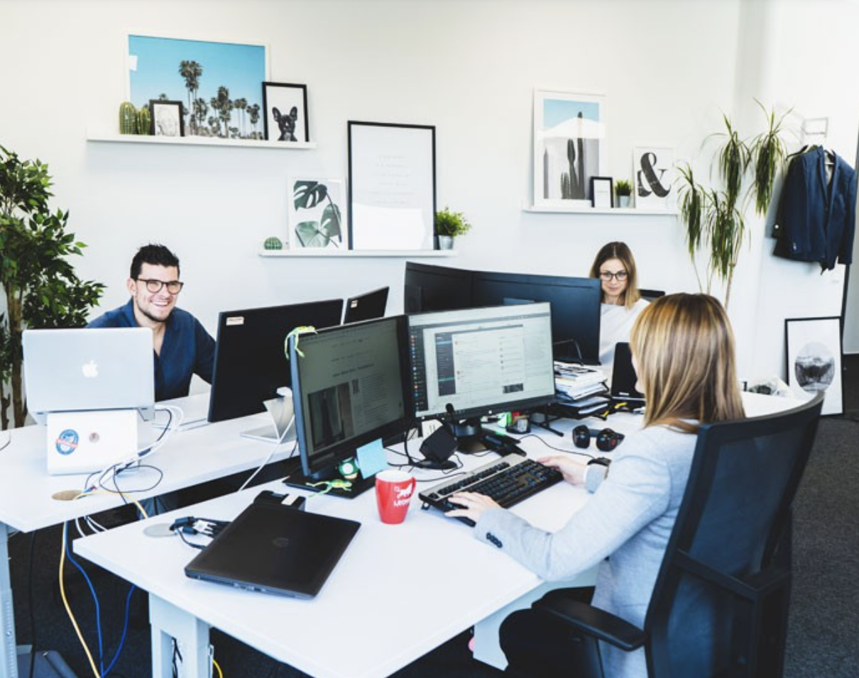 Unternehmensfoto von LEONEX Internet GmbH (1)