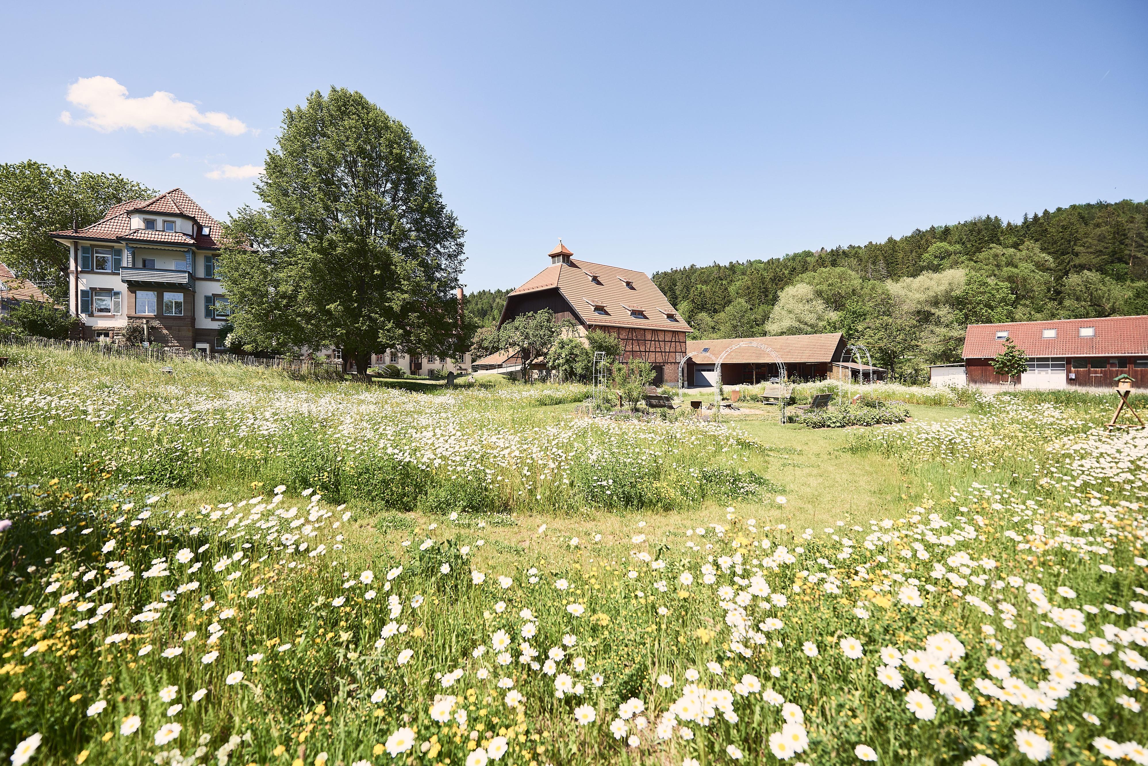 Unser Firmenstandort in Rosenfeld