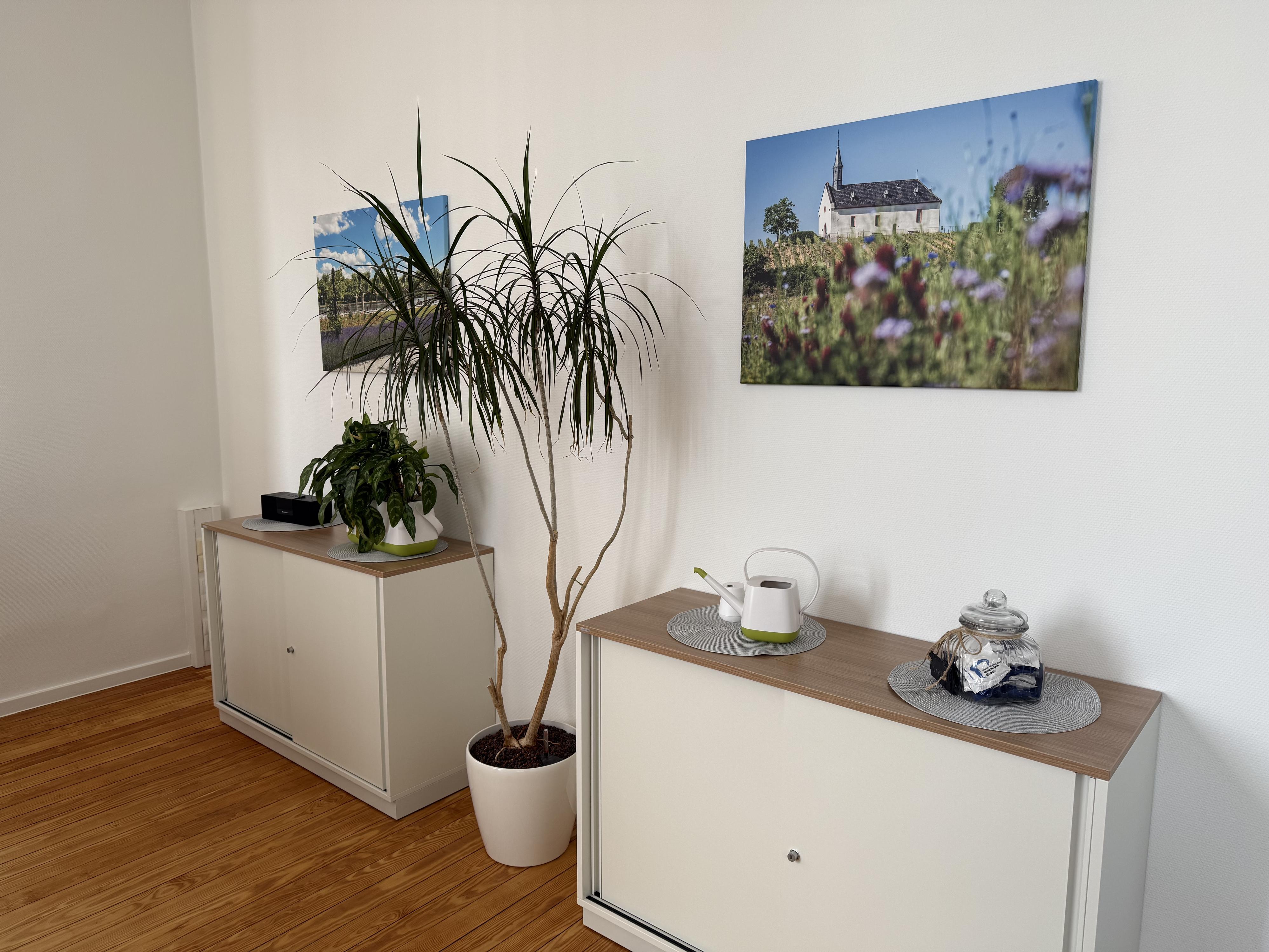 Einrichtungsbeispiel mit Sideboards, Pflanzen und Wandbildern