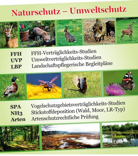 Dein Betätigungsschwerpunkt!