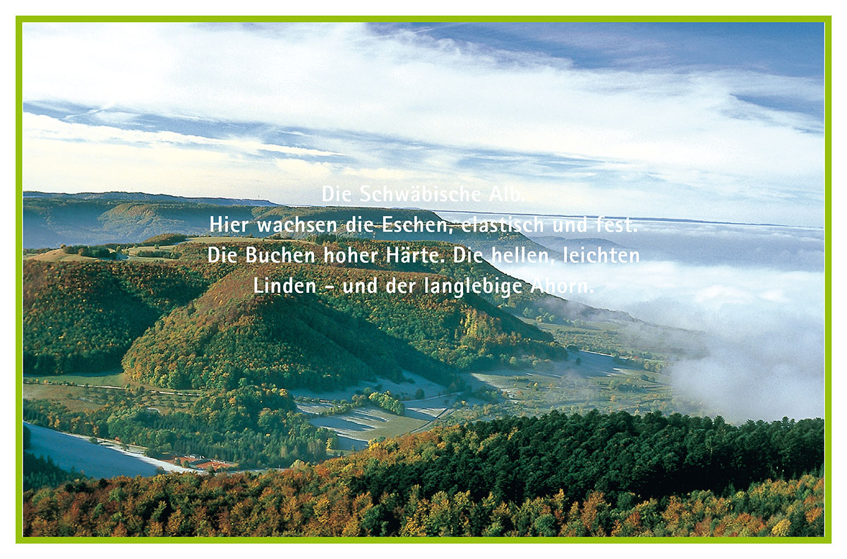 Wald mit Eschen, Buchen, Linden und Ahorn