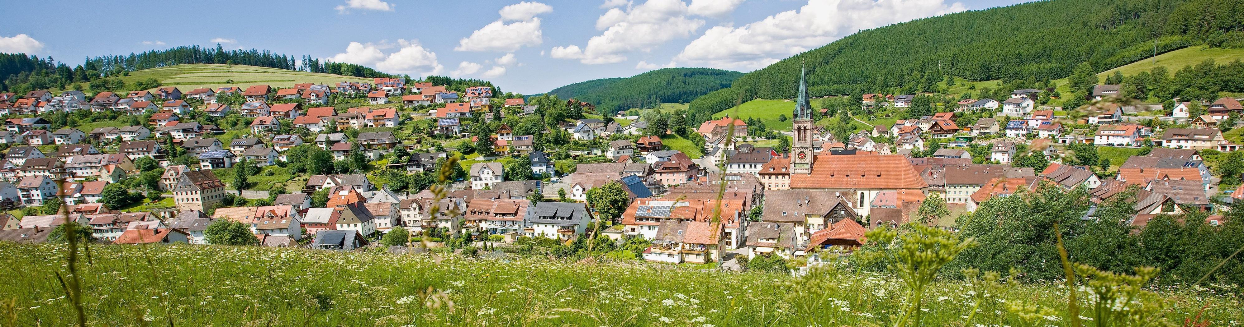 Stadtansicht_Vöhrenbach
