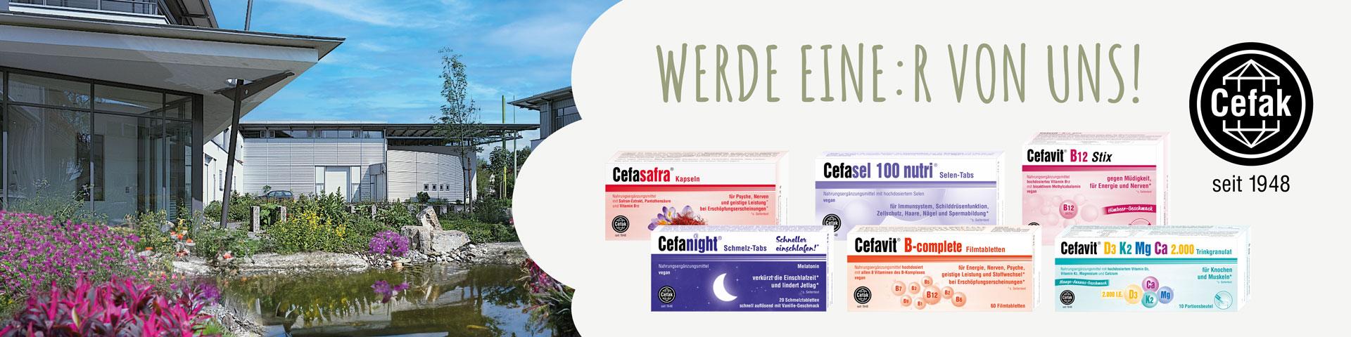 Firmengebäude, Produkte