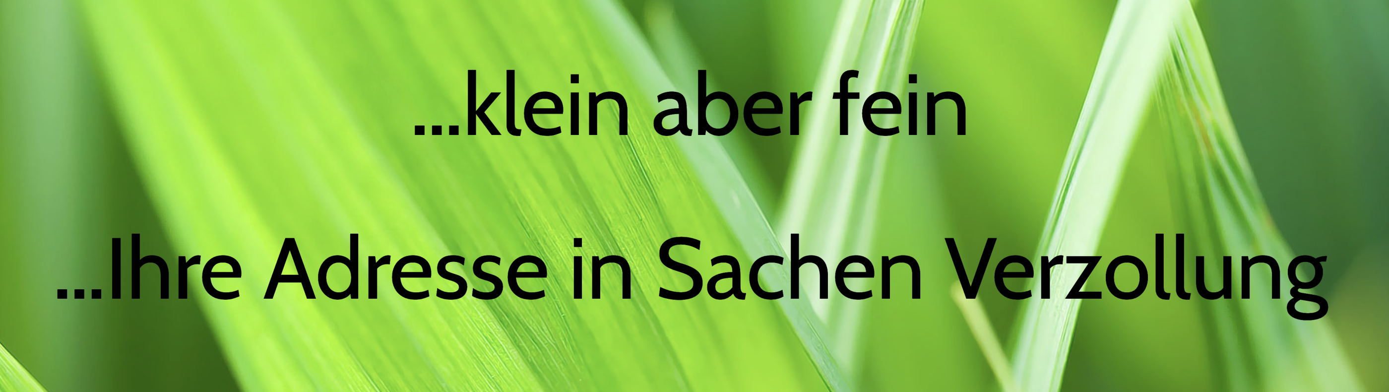 Beispielbild 