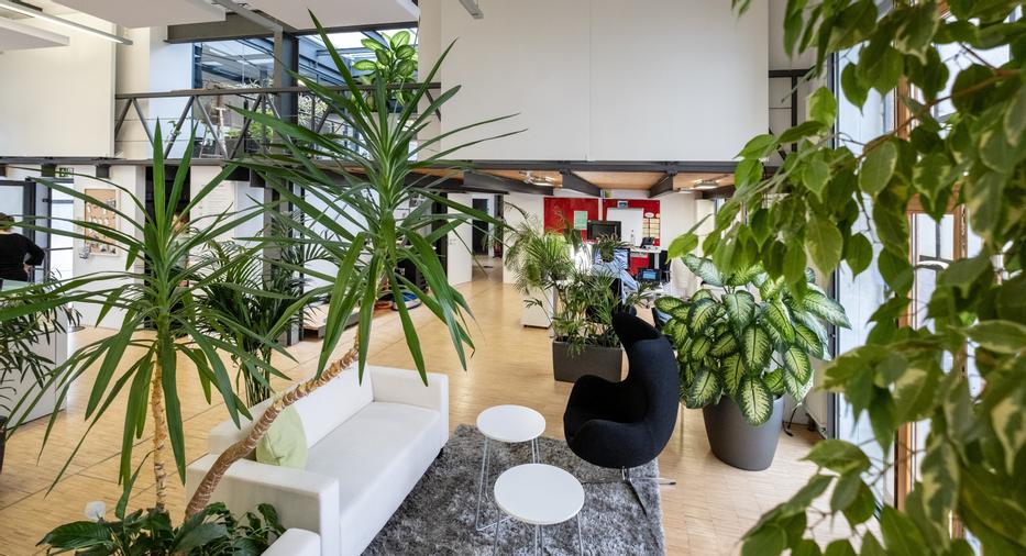 Hier arbeiten wir - inmitten vieler Pflanzen, die für ein tolles Raumklima sorgen.