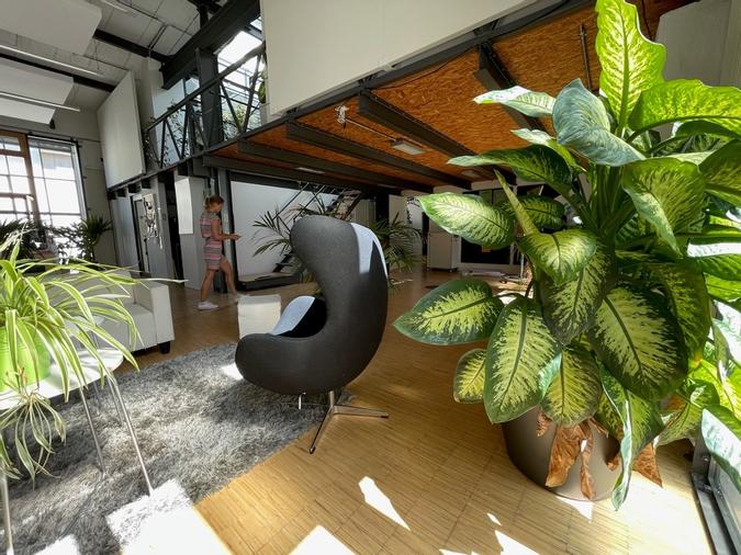 Grün, grün, grün sind alle meine Farben.