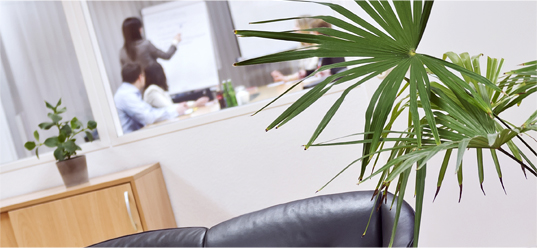 Unternehmensfoto von Borgmeier PR (1)