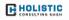 Company logo of Holistic Consulting GmbH