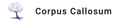 Unternehmenslogo von Corpus Callosum GmbH 