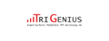 Unternehmenslogo von ib trigenius ppp beratungs ag