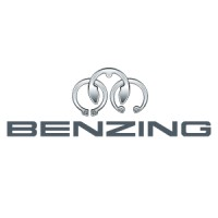 Company logo of Hugo Benzing GmbH & Co. KG