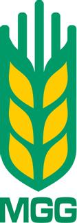 Magdeburger Getreide