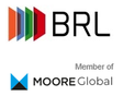 BRL Risk Consulting  & Co. KG