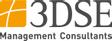 3DSE Management Consultant