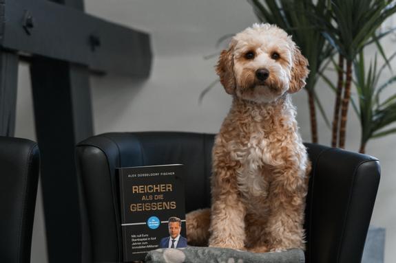 Mandy unser Büromaskottchen
