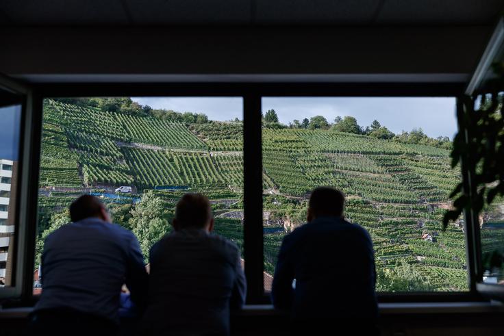 unser Weinberg