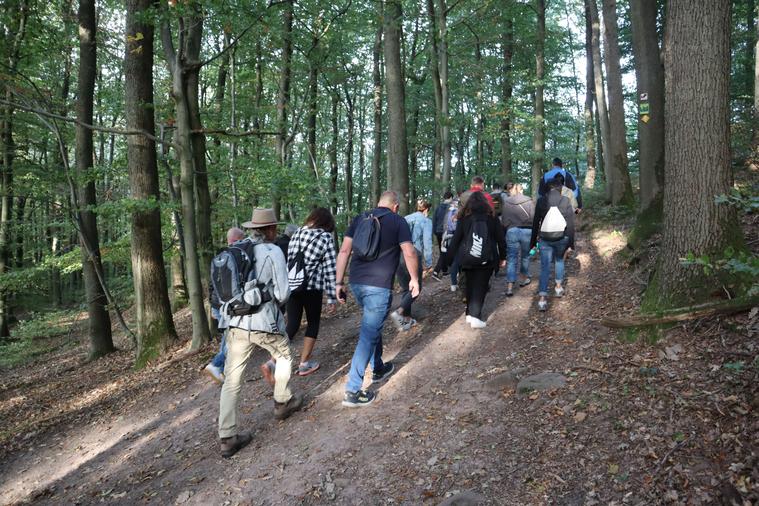Als Team unterwegs im Pfälzer Wald