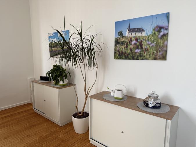 Einrichtungsbeispiel mit Sideboards, Pflanzen und Wandbildern
