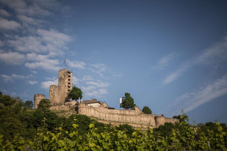 Blick auf die Wachtenburg